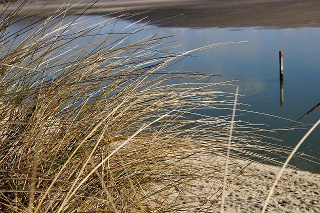 028 Texel.jpg